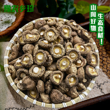 西峡香菇干货250g袋装蘑菇剪脚肉厚冬菇食用菌金钱菇产地一件代发