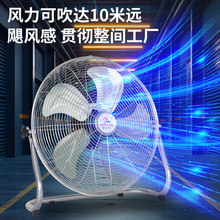 ����ſ�؏�����L���L�ȹ��I��������ȼ���̨ʽ�L������������