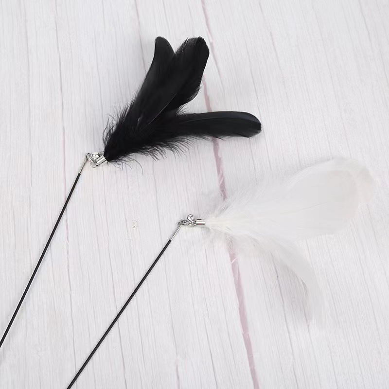 181b1cb7c128d74044030d9041f9a5