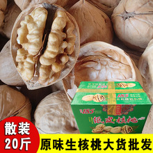 大量批发供应手捏即开原味原色 新疆特产薄皮185纸皮生核桃20斤