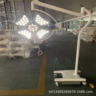 Mobile Surgery Shadowless Simple Installation Suitable for Simple Small Surgeries Use Beauty Salon Use Pet Hospital Make