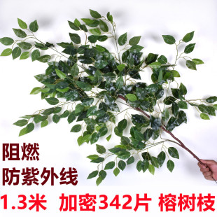 �����Ř�֦��ȼ���ϻ��^�zֲ��@���쾰�^�bټt���~�Ӵ��G��