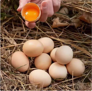 �������u��10ö�r��ɢ�B���r���u�����u�����u�����u�����ӌ�����