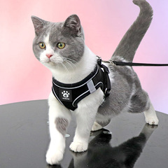 猫牽引ロープ、脱走防止ベスト、ネット有名人猫散歩ロープ、英国ショートヘア猫チェーン、ペットハーネス