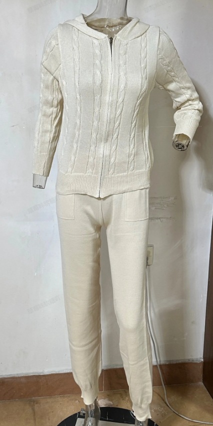 Hooded Zipper Top and Pants Set 2