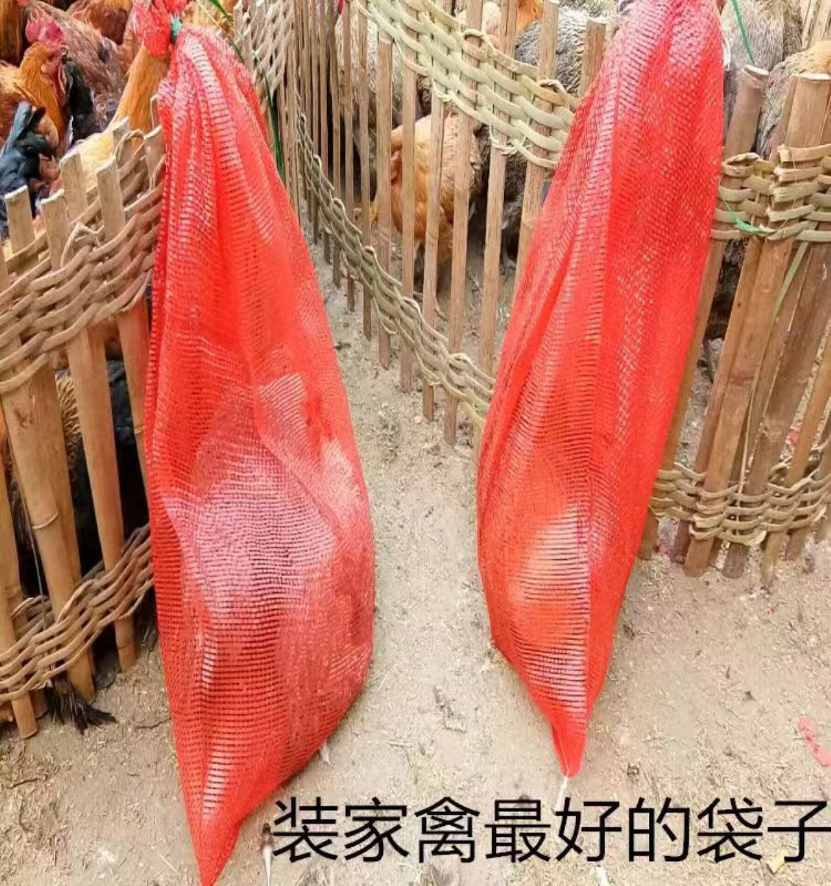 Naranja en bolsa de malla, naranja en bolsa de malla, pomelo en bolsa de malla, sandía en paquete, cebolla, patata, cuerda, bolsa de pollo