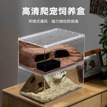 ���x��B�Ќ�����͸��������֩���،m���ܼ��xϐ���쾰����������