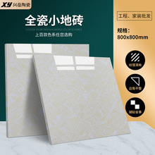 批发300*300全瓷小地砖 哑光卫生间阳台全瓷小地砖亮面小地砖