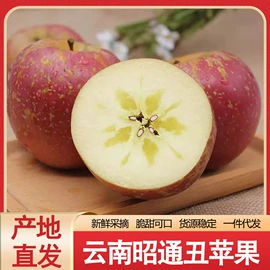 块茎类;其他蔬菜;瓜果类