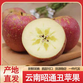 云南昭通苹果冰糖心丑苹果脆甜应季红富士新鲜水果一件代发