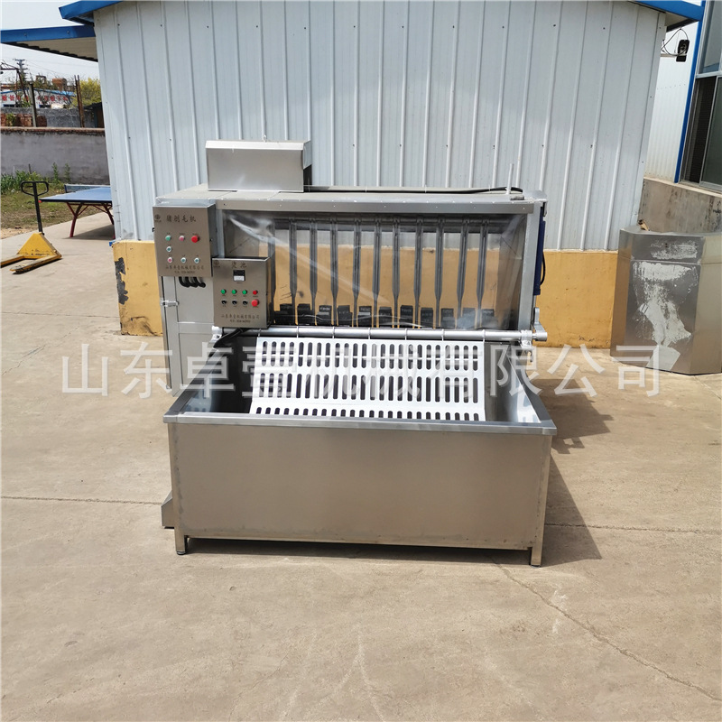 新款猪脱毛机猪牛羊打毛机猪刨毛机自动捞猪自动脱毛出猪脱毛干净