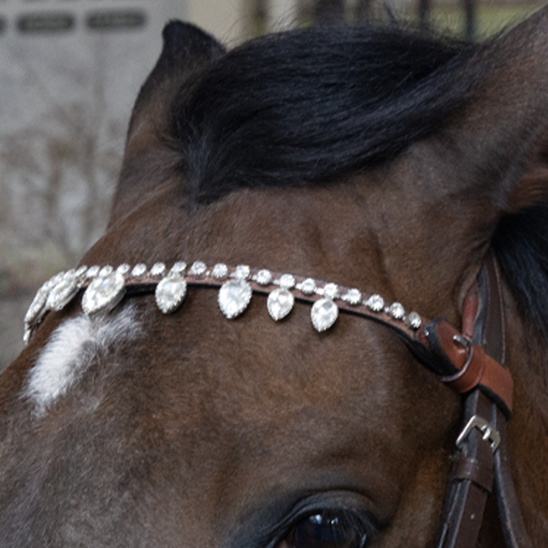 Cuero para cejas, cuero para frente, cuero de vaca con incrustaciones de diamantes, hermosos accesorios decorativos para bridas de caballo, artículos ecuestres, equipo para caballos al por mayor 8218173.