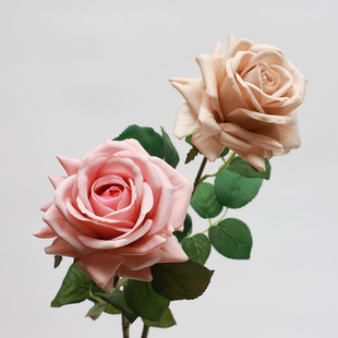 ������ɫ��ӡ�ָб���õ�� �Ҿ��b��滨 �Ĕz���߾Ƶ겼�û�