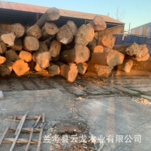 Դ�^�S����ͩԭľԭľ��ľ���l���լ�|��֦�ֹ��[��diy�������