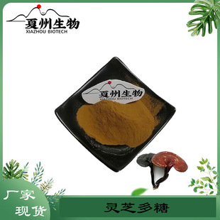 �`֥���� 20%50%  ���z�w����  �`֥��ȡ��  �`֥�� ��������
