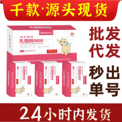 迪巧乳糖酶9000固体饮料高浓缩乳糖酶含9000IU批发支持一件代发