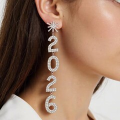 欧美跨境新款2026吊坠耳环热销轻奢高级感耳环夸张个性冷淡风耳饰