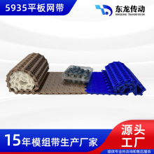 5935塑料链板网带 5936食品级塑料传送带 节距19.05链板输送带
