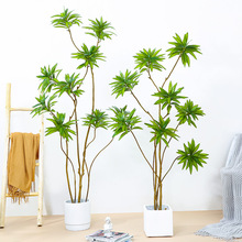 ���Wins�L����Gֲ������٘�ٺ������ֲ������b[�����Ծ�