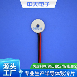 TES1-017015�h�΃�����������Ƭ ����Ƭɢ���� ΢������Ƭ