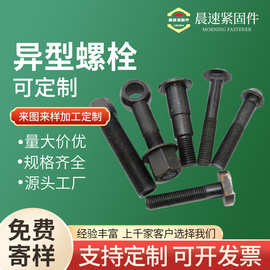 异型件异型螺栓热打冷墩异型螺丝螺栓螺母车床厂家定制非标加工