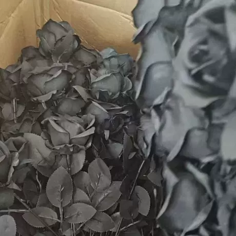 Pure black