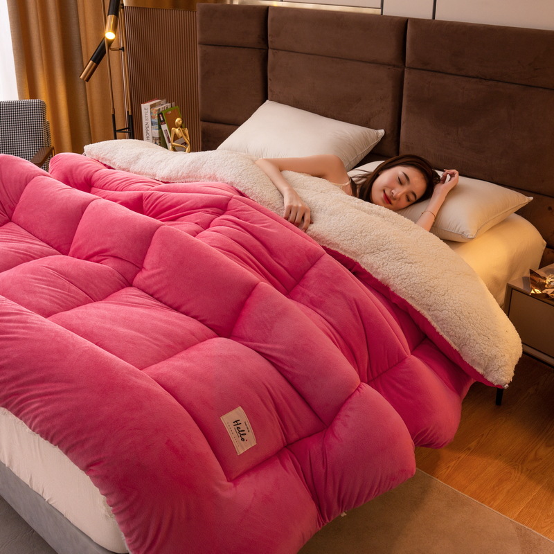 Wholesale Manufacturer's Double-Faced Plush Lamb Fleece Winter Blanket with Thick Core for Warmth, Spring and Autumn Season, Gift Blanket for Group Purchase