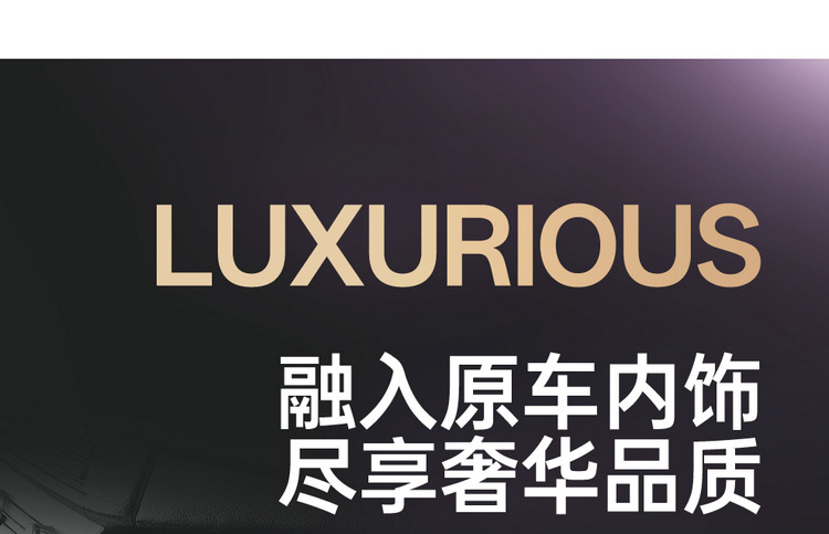 Roewe rx5plus Longmao 350s Whale 360 550 rx3 ei6max w5 i5 full coverage car floor mats