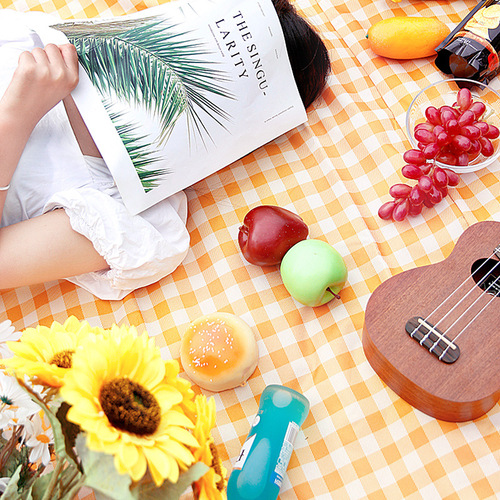 Dirty picnic mat, outdoor moisture-proof mat, single and double waterproof and oil-proof beach mat, lawn camping tent mat