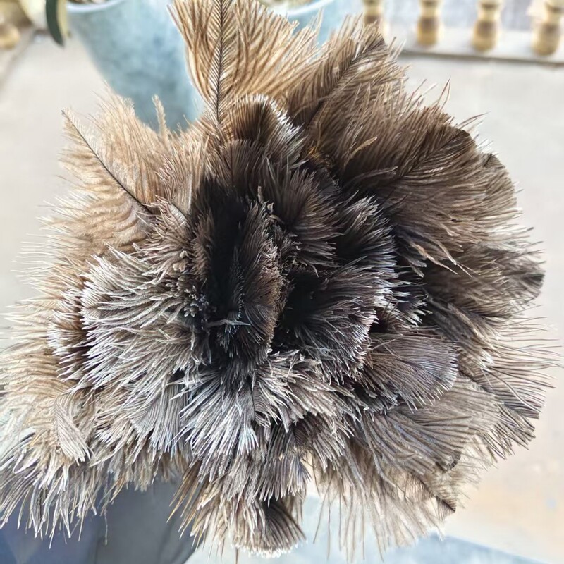 Ostrich Feather Duster, Extendable Duster, European and American Cross-Border Duster, Household Cleaning Desktop Feather Duster