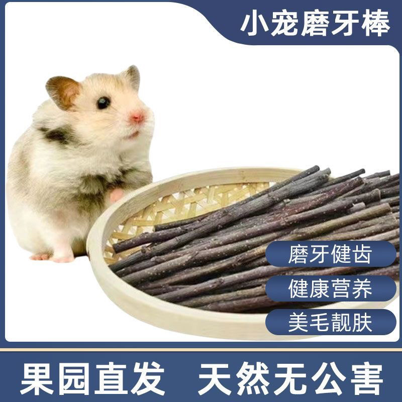 66b68cef-b03f-44bd-abed-e3a9b4a27b82.jpe