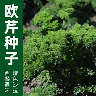 �W�۷N�Ӿջ��~�{ζ���۲��ѷ������ϚW�����Կ�ʳ���߲˷N�Ӵ�Z