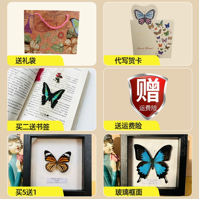 Фоторамка образца бабочки Weng Kai Lu Cuifeng Butterfly