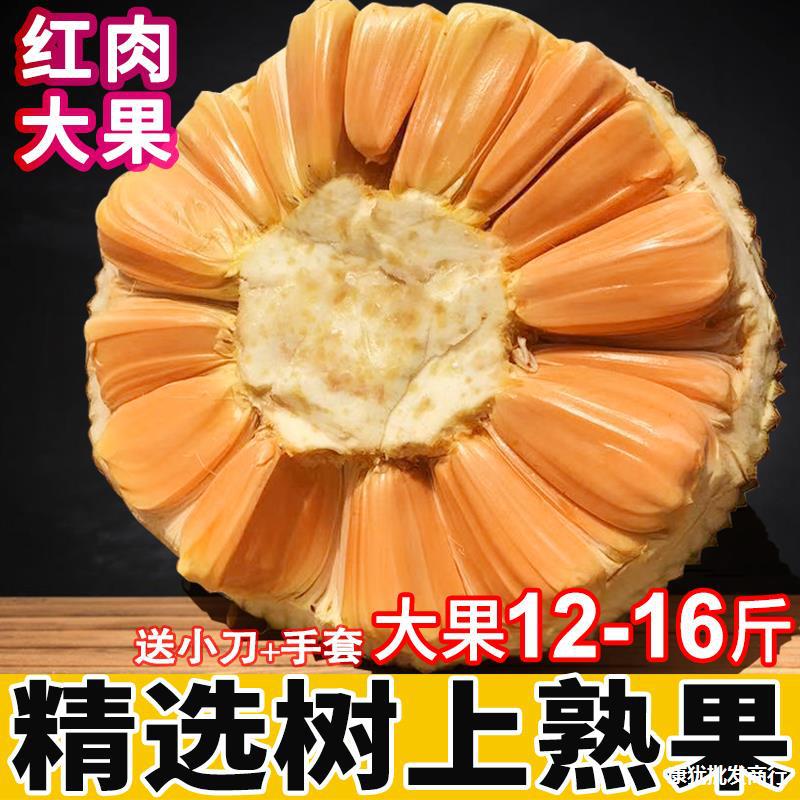 红肉菠萝蜜红心新鲜水果一整个木菠萝大果熟果10-12-16斤包邮