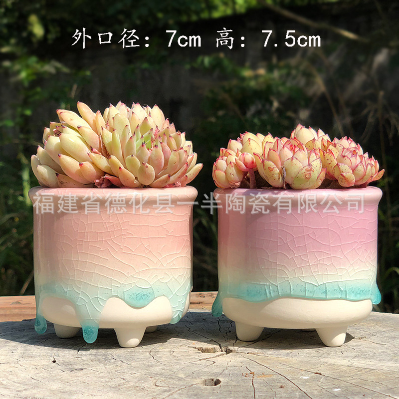 韓国式多肉植木鉢かわいい四角い口でキャンディーチーズを飼っています。|undefined