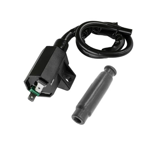 Brute Force 750 2005-2007 ilə uyğun alışdırma bobini 21121-1292