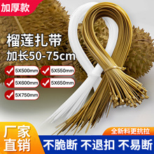 ��ɏ����5*650mm���������L���L5*600mm��ɏ��������5*550������