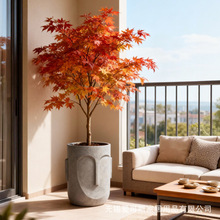 ]V໨讐κsWLҾӔ[̨Ƶ羳Nֲ