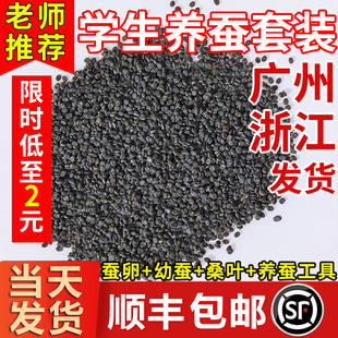 �Q�����Q���Q�ьW���B�Q���b���w�Q�N���Q�ͷ������Zëɣ�~������