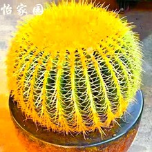���������̖������ڴ��w�����҃����Կɐ�Ʒ�N��ȫ����������