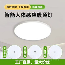 ��픟�led�����A�����������w�Б��^�����ˁ��������_�ǵ���픟�