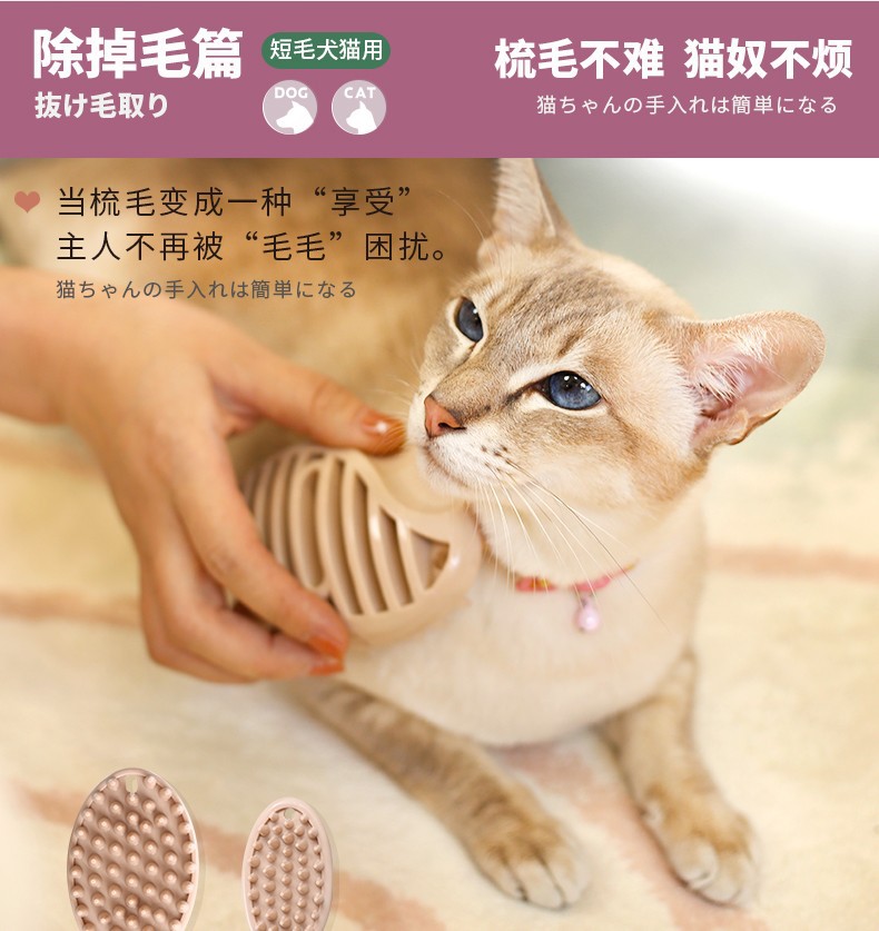 新款粘毛刷详情2