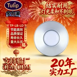 LED球泡灯;其他LED光源;其他室内灯具