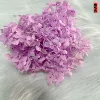 Pink-purple, purple