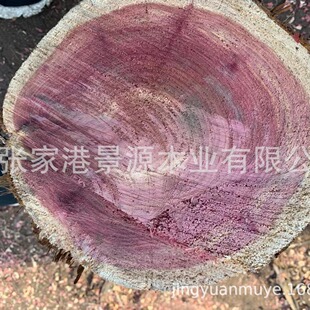 ��ľ �t�İ� ԭľ���ϰ�� ���ľ �tѪ�� �S��ľ�Ͱ�ľ