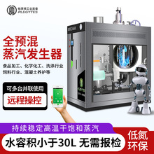 可定制蒸汽发生器工业食品酿酒熨烫混凝土养护节能环保天然气锅炉