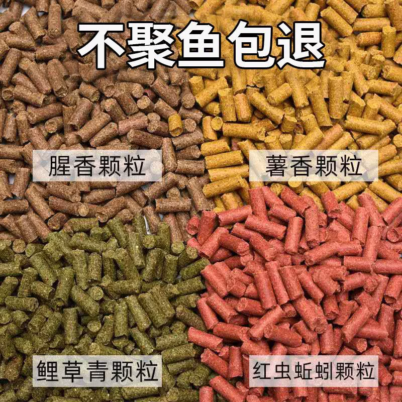 Гранулы Dowo специализируются на формуле приманки для карпа-карпа