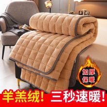 羊羔絨床墊軟墊家用薄款雙人被床褥褥子單人防滑墊學生鋪墊保護墊