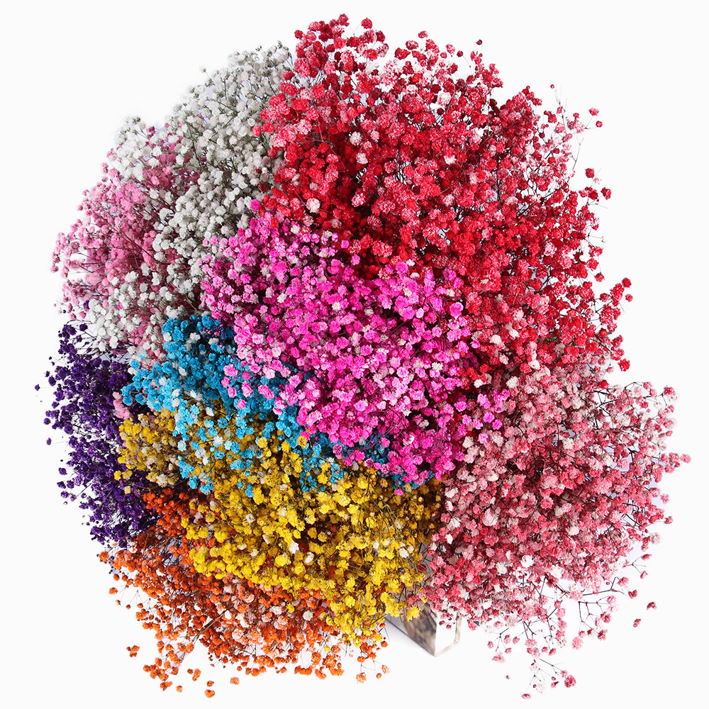 Yongsheng flor estrellado flor seca grande al por mayor regalo de flores de San Valentín Regalo de Cumpleaños gran manojo de ramo de flores reales