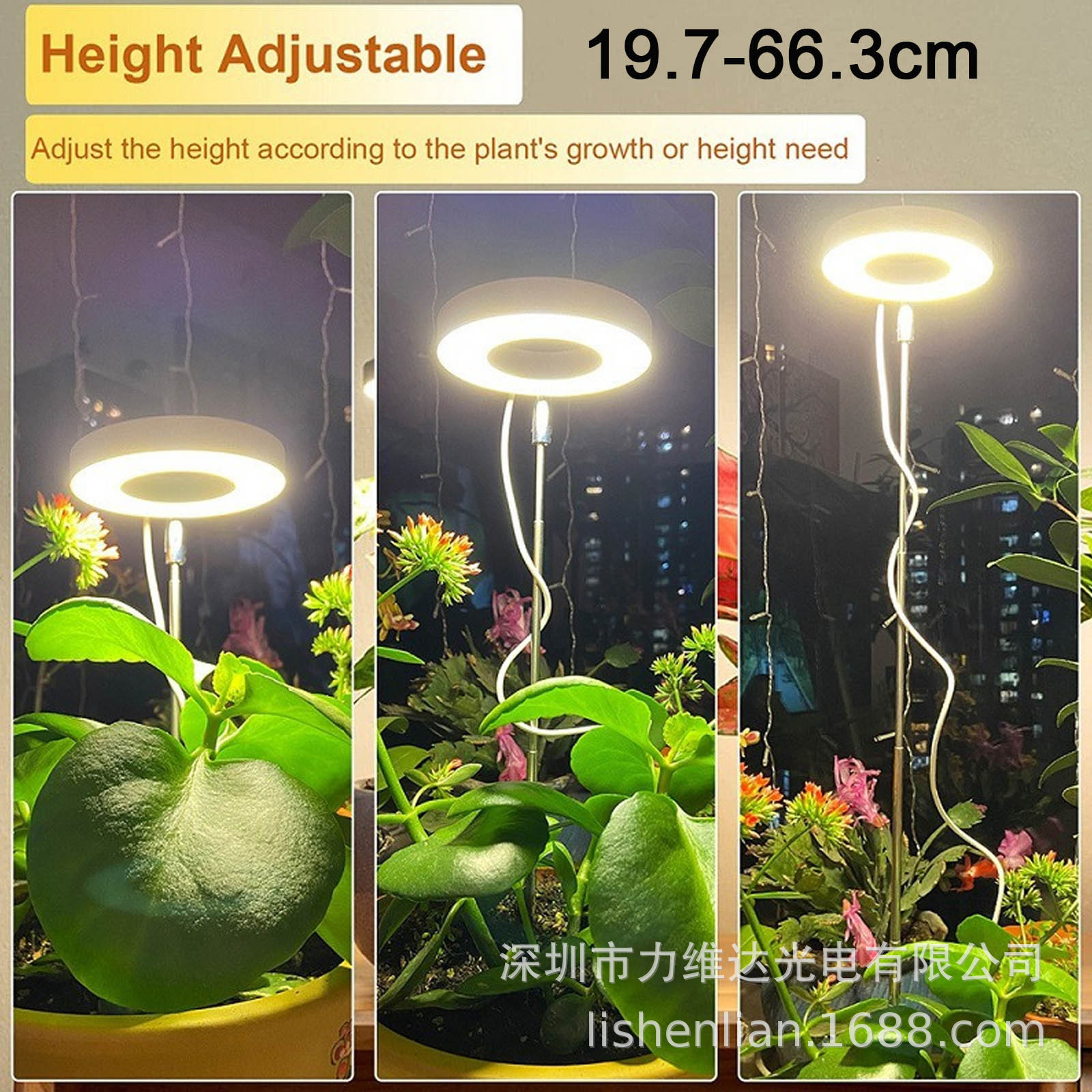 羳ֱʱл3000K6000KԲֲڲ